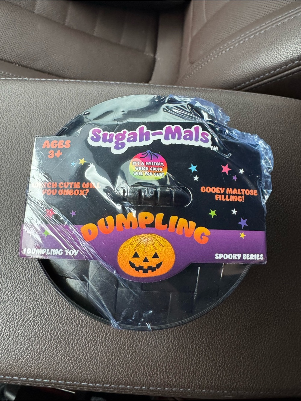 Mystery Halloween Dumpling Squishy